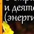 О страсти и деятельности энергии Иоанн Дамаскин Точное изложение Православной веры