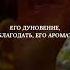 Чтец Мансур Ас Салими