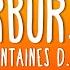 Fontaines D C Starburster Lyrics