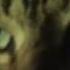 Meow Mix Song EDM Cat Remix By Ashworth