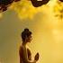 Inner Peace Meditation Music 57 Relaxing Flute Music For Yoga Zen Sleep And Stress Relief