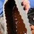 Dubai Marshmallow Chocolate Bar Marshmallow Recipe Dubaichocolate