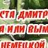 Подвиг танкиста Дмитрия Шолохова Правда или вымысел Взгляд со стороны врага