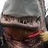 STOP Ignoring These Mysterious Sea Creatures