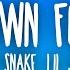 DJ Snake Lil Jon Turn Down For What