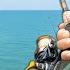 Florida PIER Fishing I Ve NEVER Seen This Catch And Cook