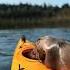 Idk If She Loves Me Or My Kayak Wholesome Animals