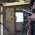 The Wandering Hearts If I Fall Session Video