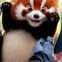 Red Panda Morning Animationforkids Storytime Story