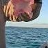 TUNA SASHIMI CATCH AND COOK
