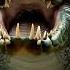 Cat When He S Take A Selfe Same Time Crocodile Bit Cat Cat