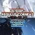 Regulus Corneas Vs Jinwoo