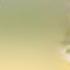 Ringtone Music Attitude Bgm Ringtone New Ringtone 2025 Instument Ringtone Tune