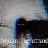Bolinha De Quejo Slowed Reverb 1 Hour