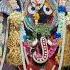 Mahaprabhu Nka Gaja Besa Shorts CuttackPujaFestivals Reels Ytshorts Odisha Hindufestival