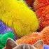 Tangkap Ayam Lucu Ayam Warna Warni Ayam Rainbow Kelinci Lucu Bebek Lucu Ikan Hias Hewan Lucu