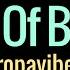 Rivers Of Babylon Tropavibes REGGAE KARAOKE