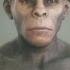 Human Origins 101 National Geographic