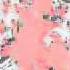 Layla Derik What You Can T See Lokkit