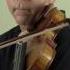 Holstein Amati Violin Review