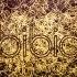 Bibio Bones Skulls