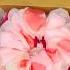 250 Rupees Haul Trending Fashion Hairbows Smallbusiness Handmade Hairaccessories Scrunchies