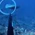 Pescasubmarina Spearfishing Abade Canary Abbot