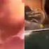 WATCH Racist Couple Threatens To KILL Black Man In Store Instantly Regrets It