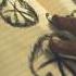A Wise Elderly Woman Gives Him A Book With Mysterious Symbols Mystery Mysterystory Horror