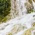 Forest River Sounds Beautiful Peaceful Country River Birds Singing In High Tree Branches Magical