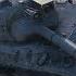 CAT OR MOUSE LEOPARD 1