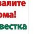 Невестка выкинув обнаглевших гостей поняла Больше никаких родственничков в ее доме
