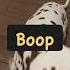 A Nose Boop For You Dog Shorts