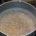 How To Get Rid Of Gnats In Your Sink Drains