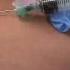 Phlebotomy Syringe Draw Procedure Blood Collection Rx TN