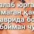 Мен дадамдан бойман чунки дадам бор