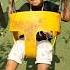 Baby Jonny Omi