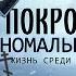 Жизнь среди необъяснимого Покровская аномальная зона Увлекательное приключение Судари