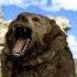 How To Escape A Grizzly Bear Attack