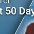 America In Transition George Friedman On Trump S First 50 Days