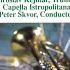 Trumpet Concerto In E Flat Major Hob VIIe 1 I Allegro