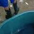 Navotas Fishport Philippines