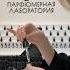 Создай свой аромат под чутким руководством парфюмера подарок мастеркласс парфюм