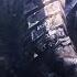 Artorias The Abysswalker Agoniya EDIT