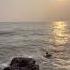 Beautiful Rocky Beach Anjunabeach Goa Beach Beachlife Beachvibes Goadiaries Ytshorts Anjuna