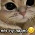 простите меня пожалуйста за то видео с казахстаном прошу я не знала что я вас обижу