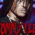 Psycho Tommy Lee Fast