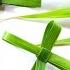 How To Fold A PALM LEAF CROSS Easy Tutorial