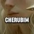 True History Of Angels Cherubim Seraphim Watchers And Lucifer