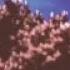 Wifiskeleton Nope Your Too Late I Already Died Instrumental